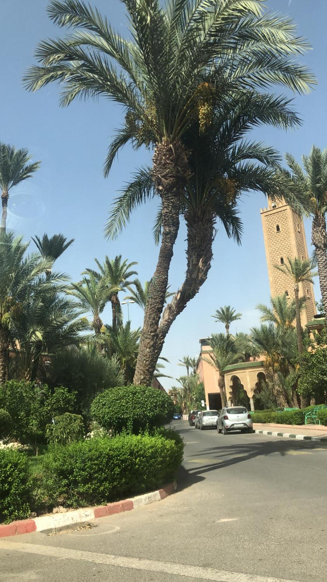 Riad Lyna مراكش المظهر الخارجي الصورة